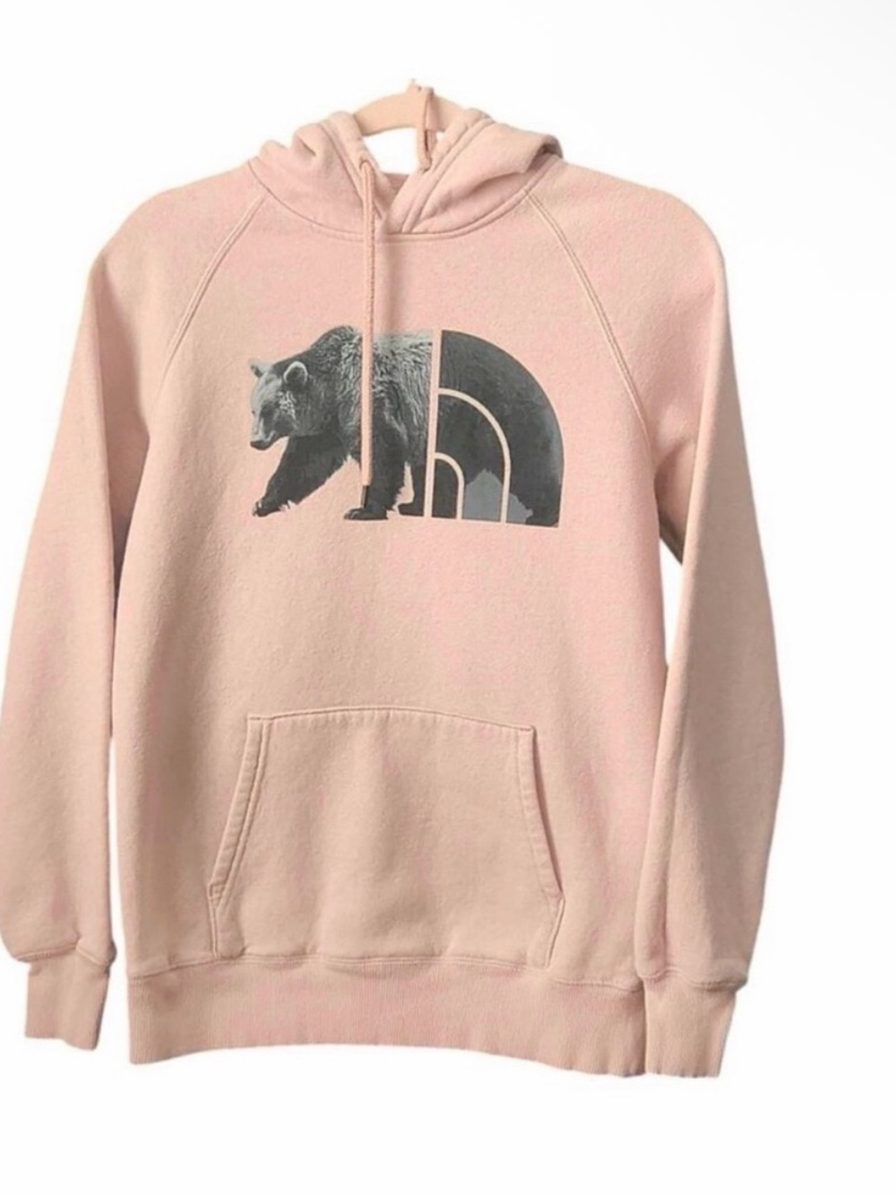 The North Face Pink Bear Graphic Hoodie Women’s Small